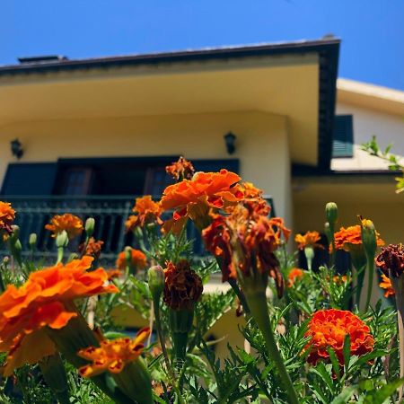 Casa Sao Simao Villa Barcelos Ngoại thất bức ảnh